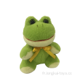 Grenouille souriante vert